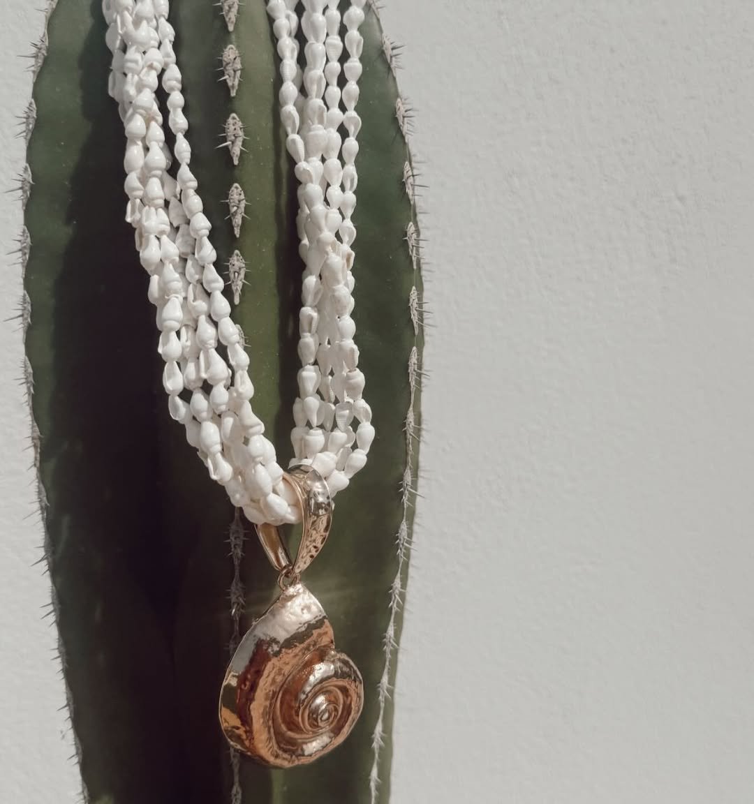 SaveClip.App_509913537_18228366637293893_8573963869919293928_n